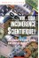 Théorie VIH du SIDA, INCOHERENCE SCIENTIFIQUE ! (La)
