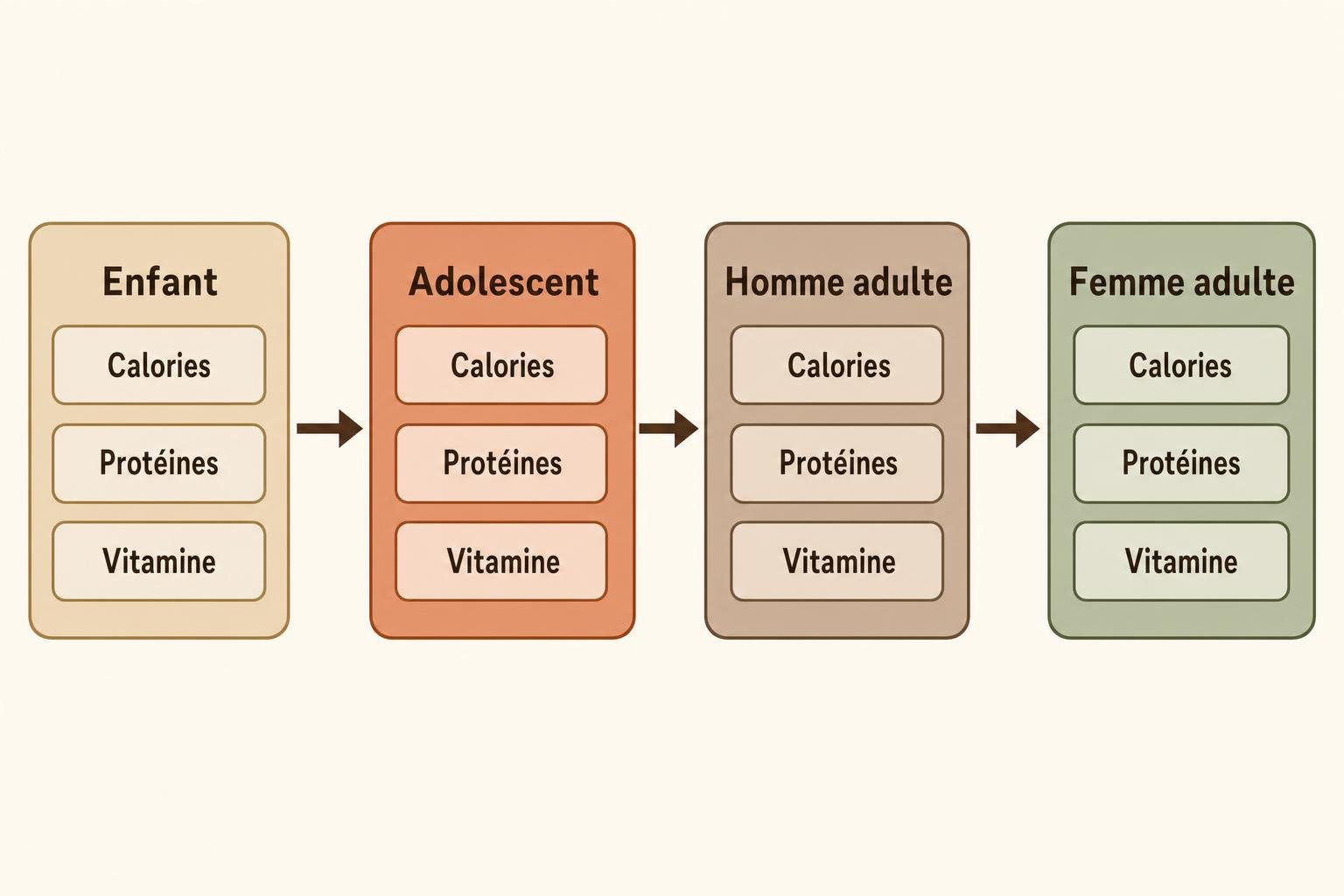 Schéma des apports nutritionnels journaliers recommandés selon l'âge et le sexe